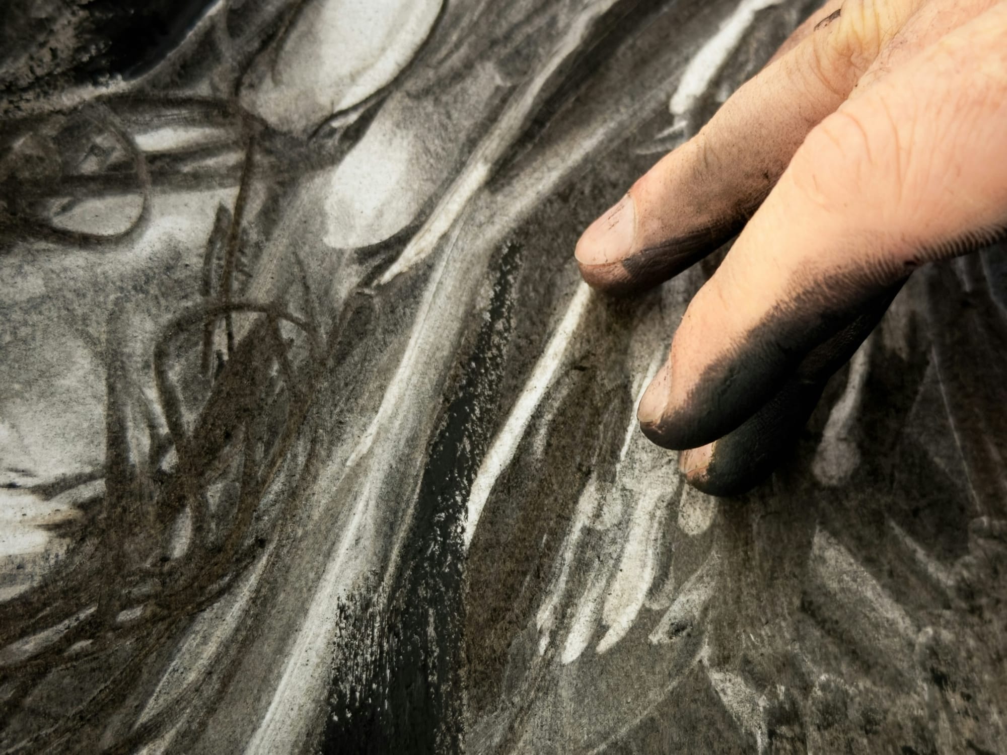 The Shape of Our Faces